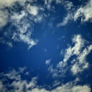 Blondie & Hunter photo