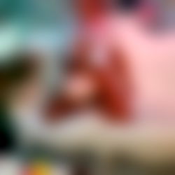 ๐ฎGypsy๐ฎ photo