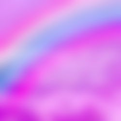 Amanda Rome West photo