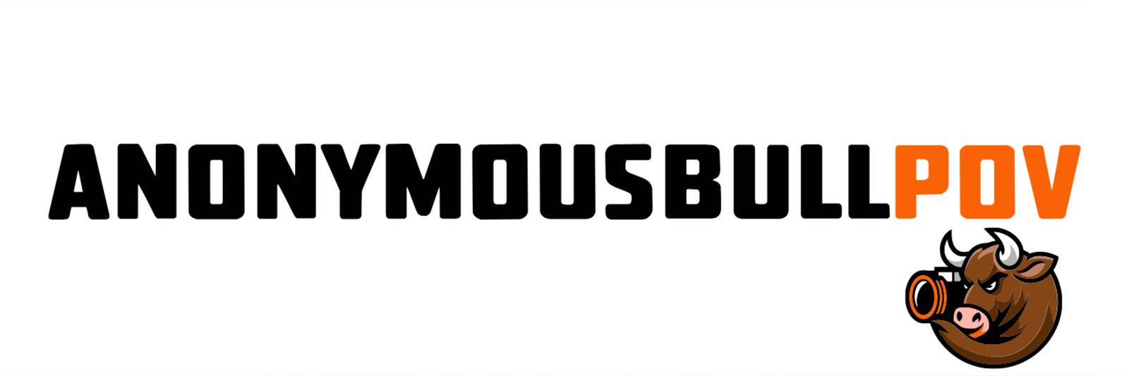 AnonymousBullPOV photo