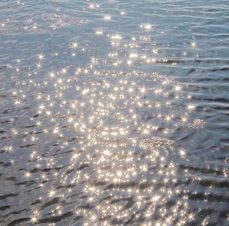 5cr4pp3dpr1nc3 photo