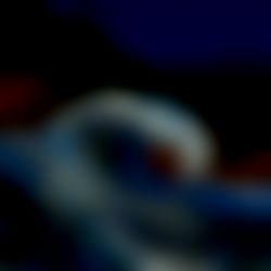 Where's its all fun and Dandy photo