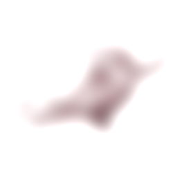 Kris XXX Angel photo