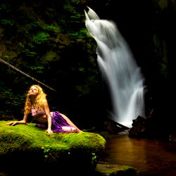 Flower Fairy in Enchanted Forest