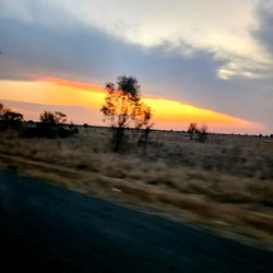 Mîĝûëľ Şāŋćĥēž photo