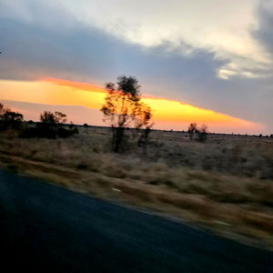 Mรฎฤรปรซฤพ ลฤลฤฤฅฤลพ photo