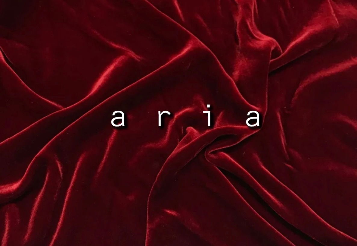 Aria 🥀🖤 photo
