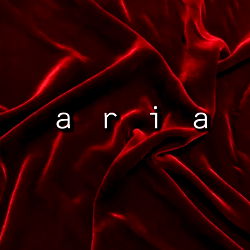 Aria 🥀🖤 photo