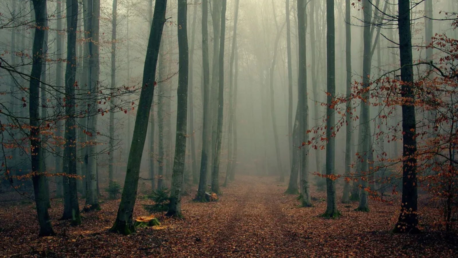 Kaszek [Hot Couple Films] photo