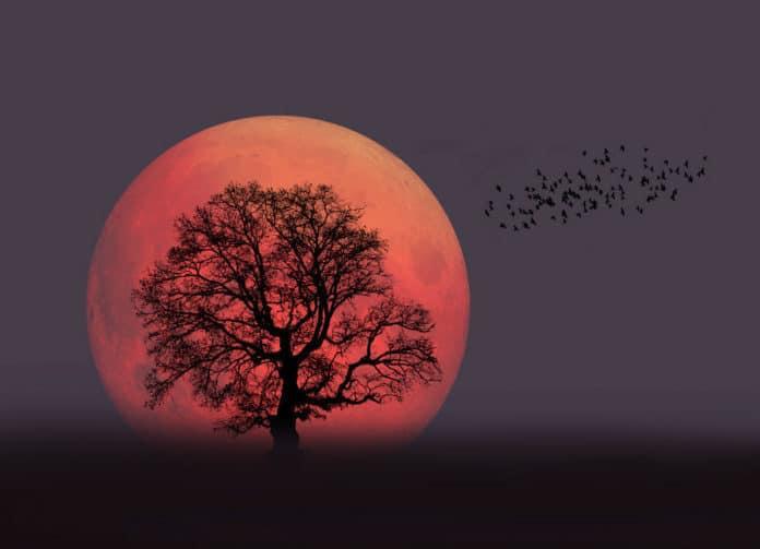 Your Favourite Pagan photo