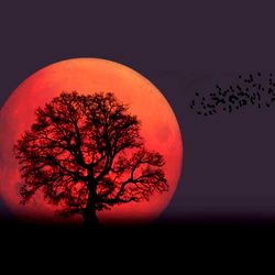 Your Favourite Pagan photo