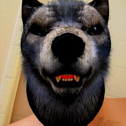 Nekomimi's Playful Photoshoot