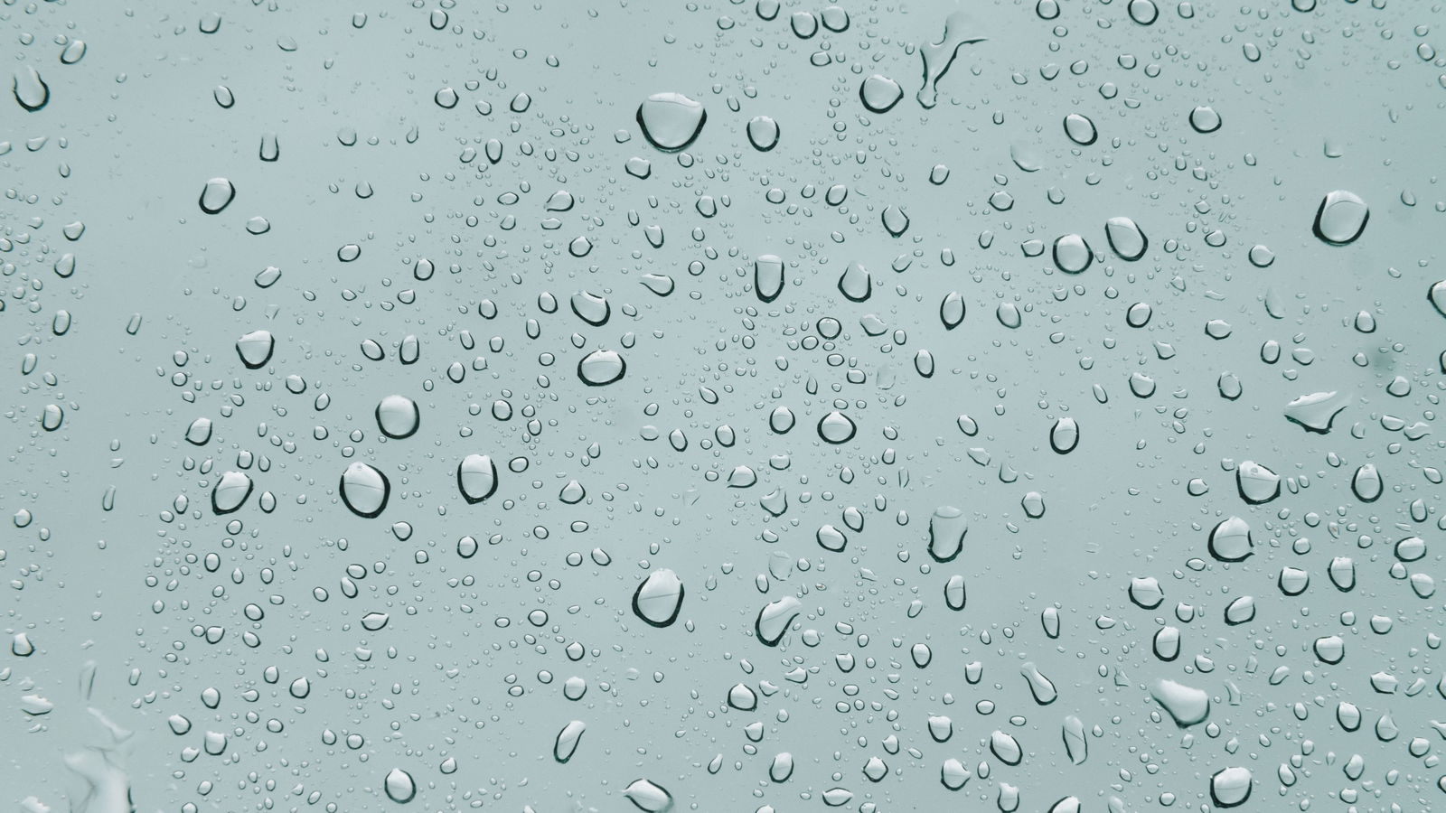 Petitequebecoise photo