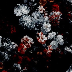 💚goupbrain💚 photo