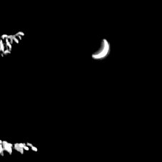 Stella Ce Soir photo