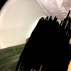 Anonymous OnlyFans Model Photo