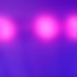 Vixen๐ฆ๐ค photo