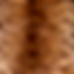 ๐ผ๐ฑ๐ช๐. โ photo