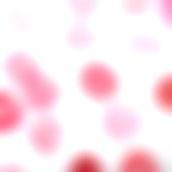 ๐ผ๐ฑ๐ช๐. โ photo