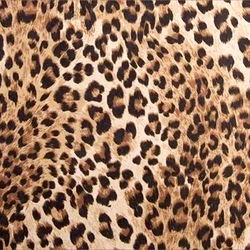 𝓼𝓱𝓪𝔂. ☆ photo