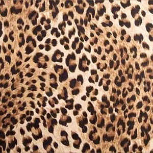 ๐ผ๐ฑ๐ช๐. โ photo