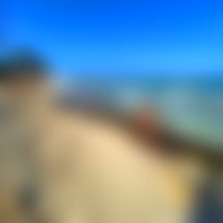 Andrรฉ FTM ๐ง๐ท photo