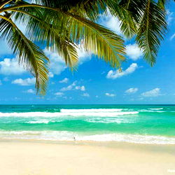 🌈 LatinaSpice✨ photo