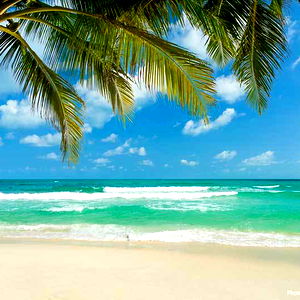 ๐ LatinaSpiceโจ photo