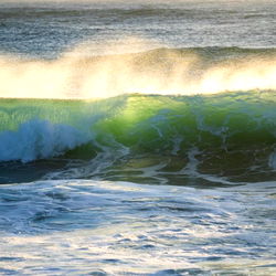 Jimmy 🇦🇺 photo