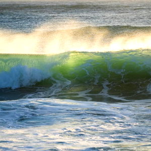 Jimmy ๐ฆ๐บ photo