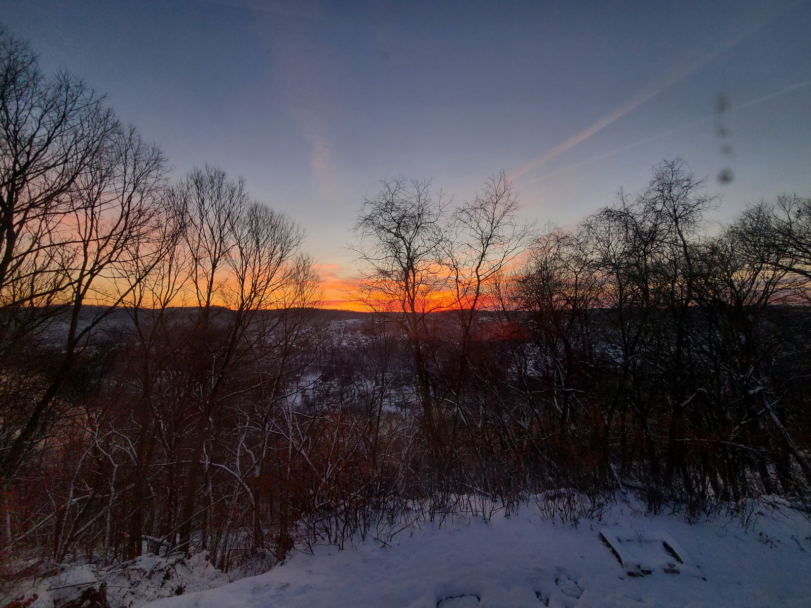 Courtney Bishop photo