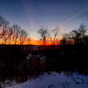 Courtney Bishop photo