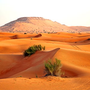 Horny Arab Men photo