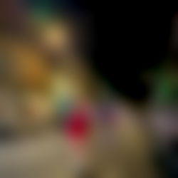 Karolain flores photo