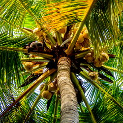 Eros Mezzanotte photo