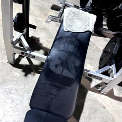 ⚜️ Charlie B ⚜️ photo