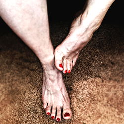 Anne's Feet: Exposing the Beauty of Bare Feet in a Michigan Home