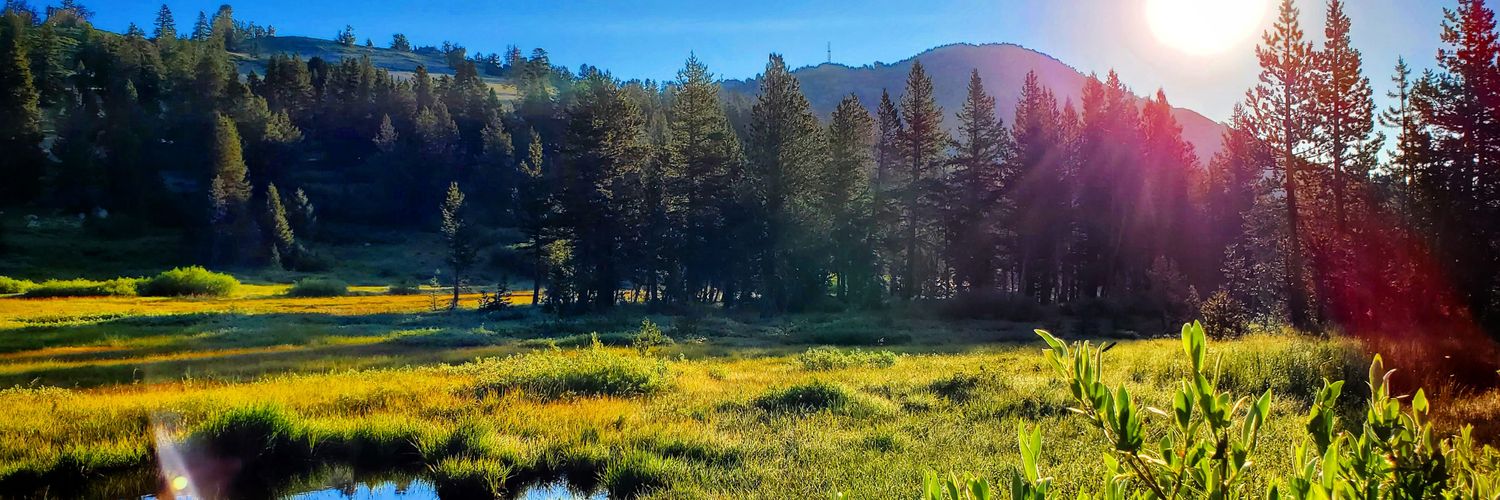 ❄SWEET BABY JAMES❄ photo