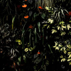 MichaelVnthony photo