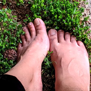 Sweet Nothings Toes photo