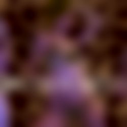 ✖️ 𝐁𝐚𝐝𝐁𝐥𝐨𝐧𝐝𝐢𝐞 🆅🅲 🌶️ photo