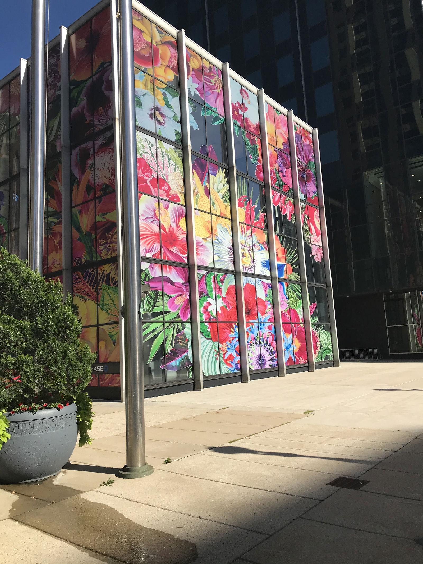 Goodpussy queen photo