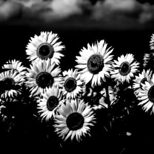 Four20Hunny๐๐๐ฅ photo