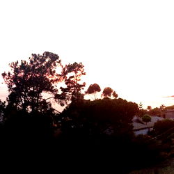 sinfullyeuropean photo