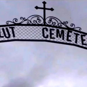 ๏ผฌ๏ฝ๏ฝ๏ฝ๏ฝ๏ฝ ๐ฆ photo