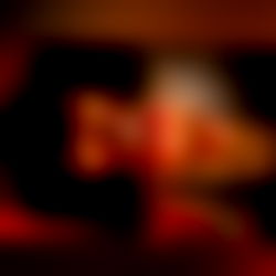 ⛧☾ 𝑀𝑒𝓁𝒶𝓃𝒾𝑒 𝒱𝒾𝓅𝑒𝓇 ☠ photo