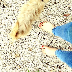 A tranquil scene of a dog and its owner in a sandy setting.