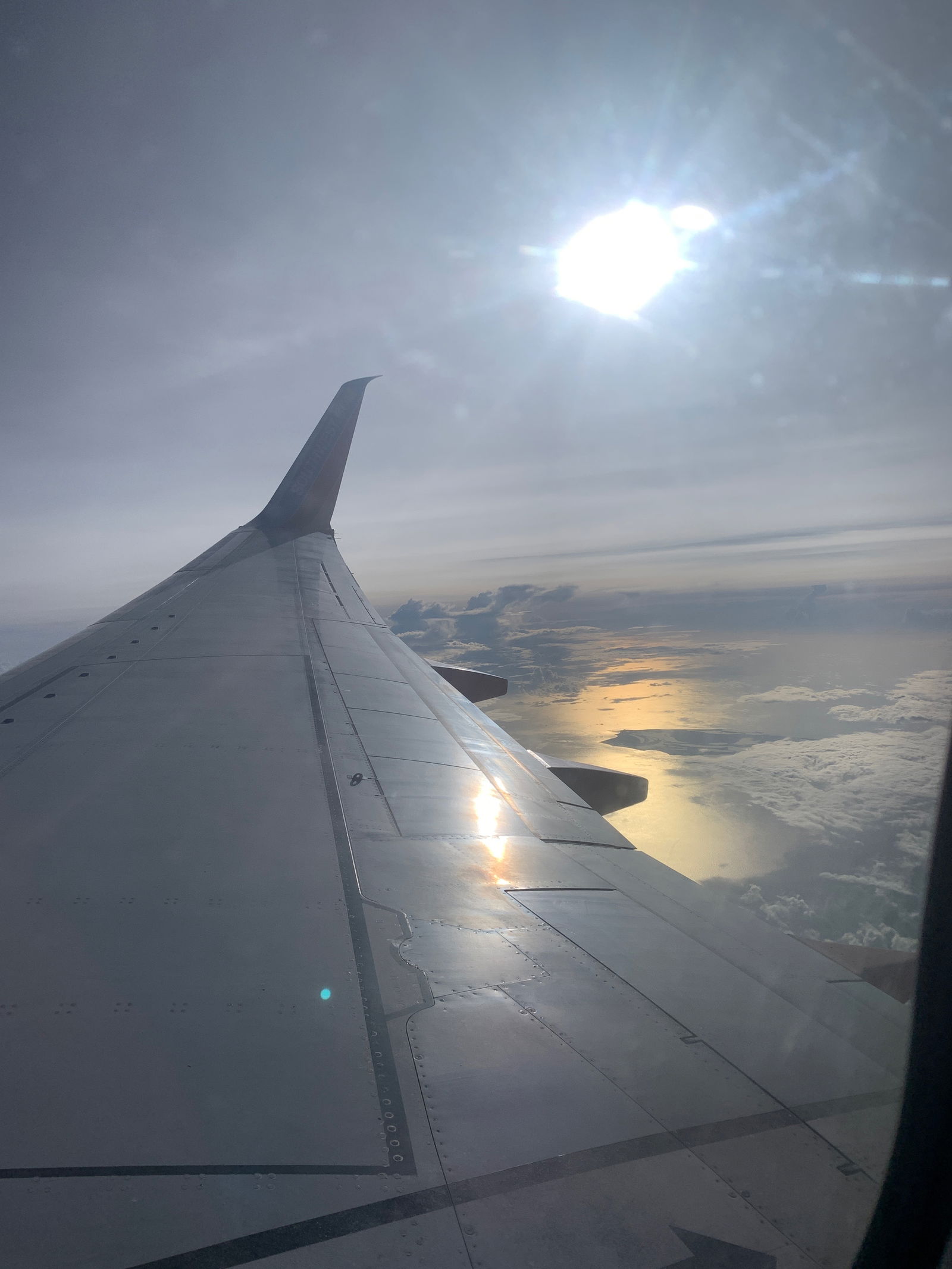 Ladycreamypr💦 photo