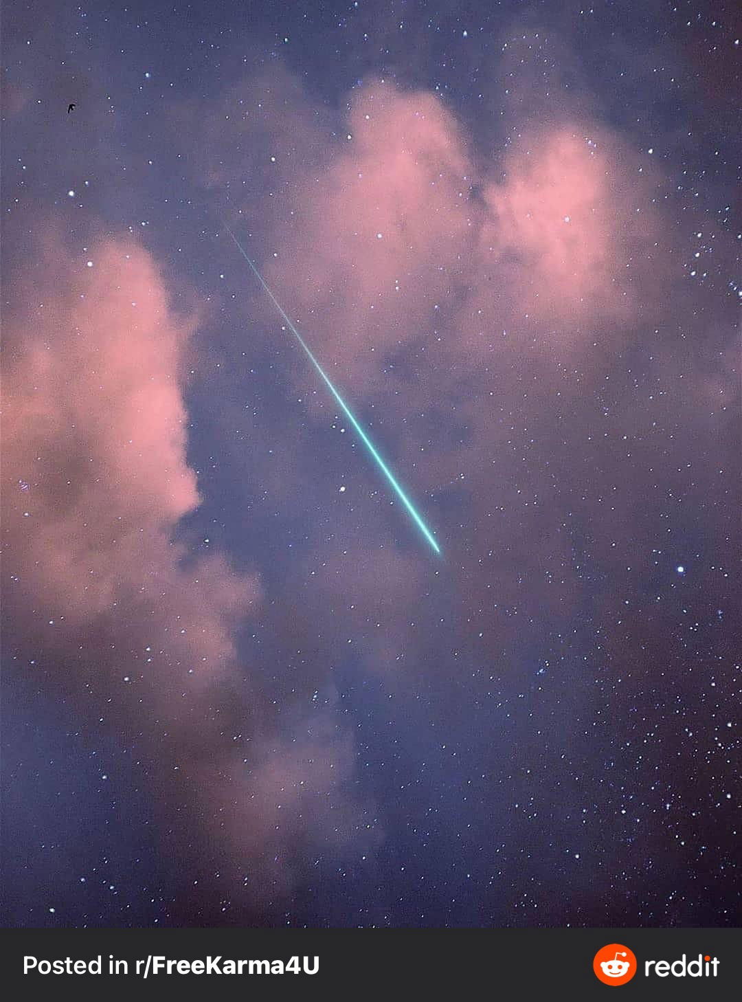 Joel Sandqvist photo