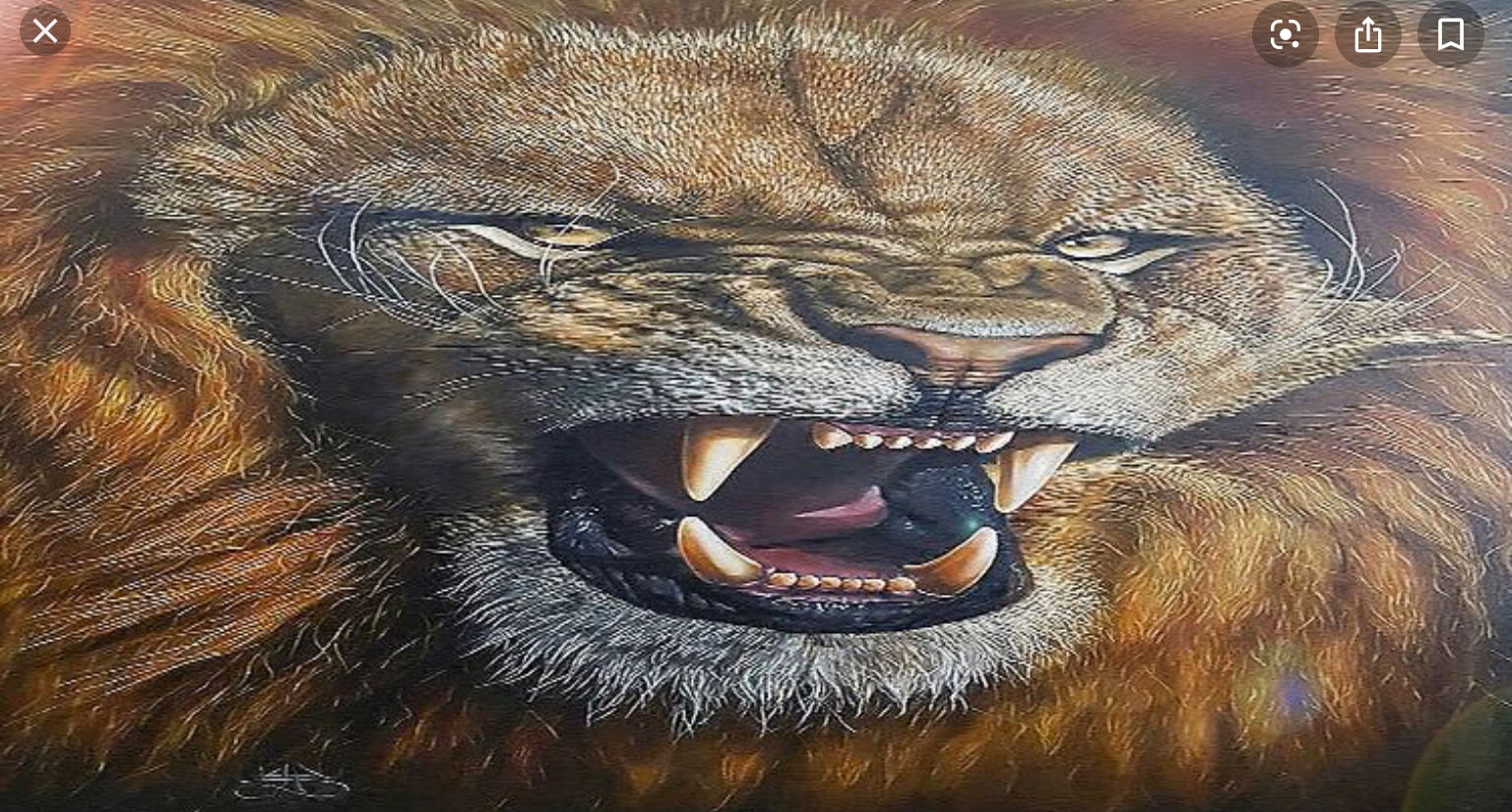 Anubis West-Parker photo